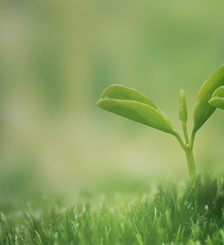 低碳城市建设运营，，新兴科技产业发展