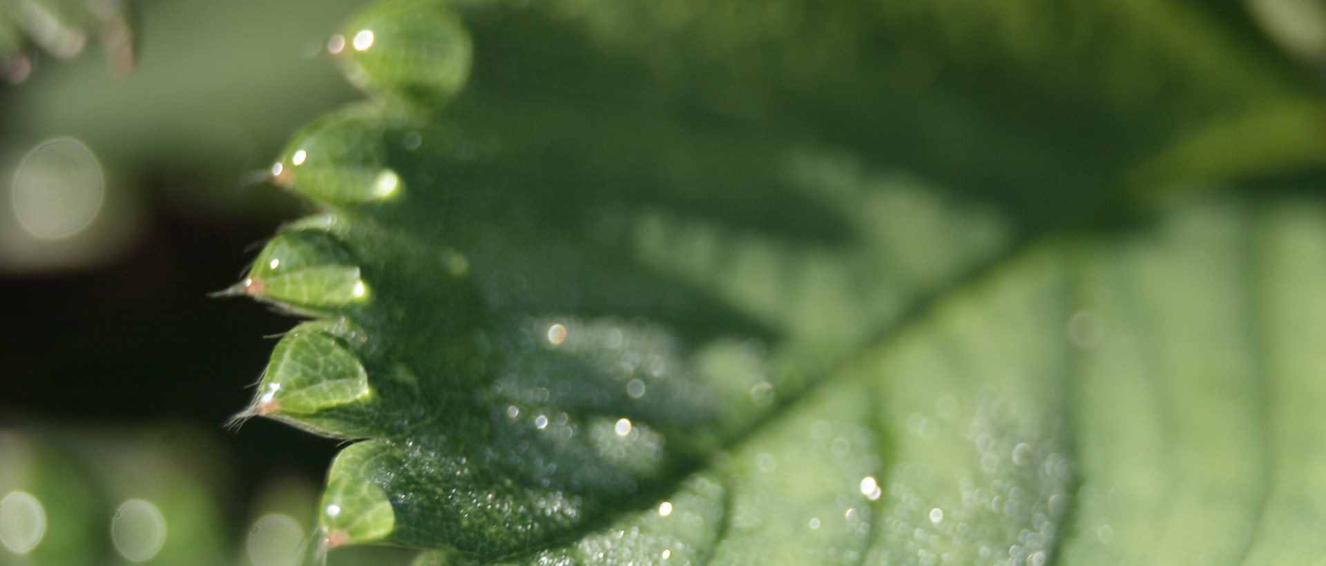 低碳城市建设运营，，，，新兴科技产业发展